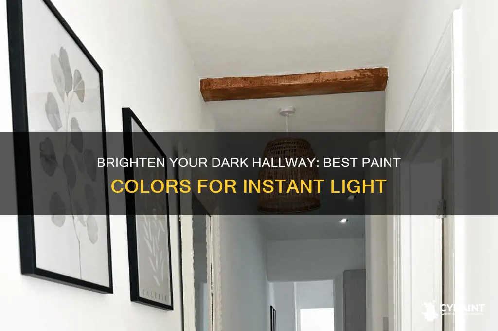 what colour paint to brighten a dark hallway