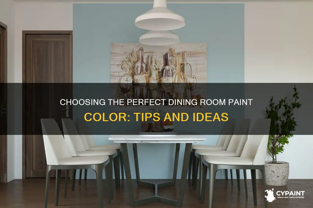 what colour shall i paint my dining room