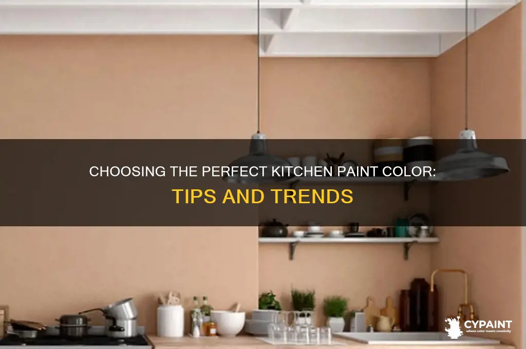 what colour shall i paint my kitchen
