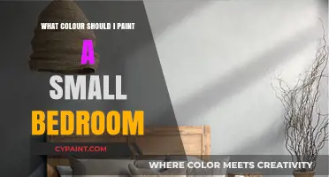 Choosing the Perfect Paint Color for Your Cozy Small Bedroom
