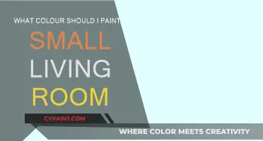 Small Living Room, Big Impact: Paint Color Choices