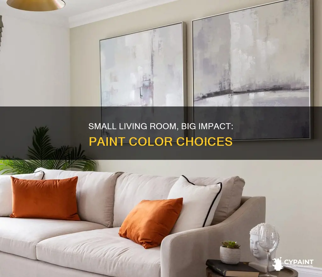 what colour should i paint a small living room