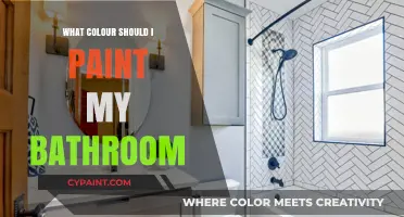 Choosing the Perfect Bathroom Paint Color: Tips and Ideas