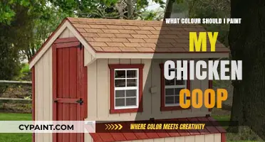 Choosing the Perfect Paint Color for Your Chicken Coop: Tips and Ideas