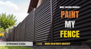 Choosing the Perfect Fence Color: Tips for a Stunning Curb Appeal