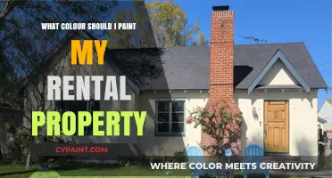 Choosing the Perfect Paint Color for Your Rental Property