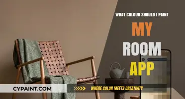 Discover Your Perfect Room Color with These Handy Paint Apps