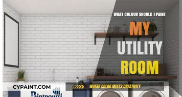 Choosing the Perfect Utility Room Paint Color: Tips and Ideas