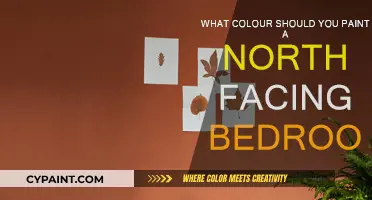 Northern Exposure: Choosing the Right Bedroom Paint Colors
