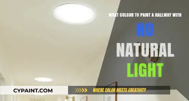 Brightening Dark Hallways: Paint Colors That Reflect Light and Uplift Spaces