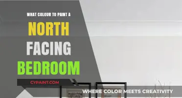 Best Paint Colors for North-Facing Bedrooms: Brighten Your Space