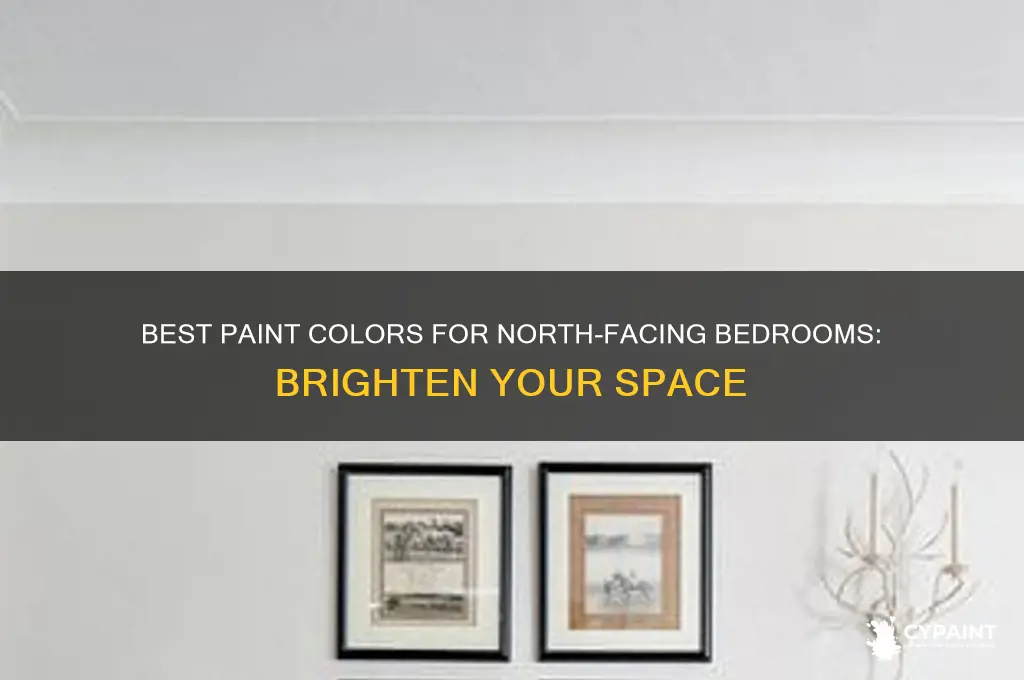 what colour to paint a north facing bedroom