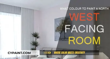 The Best Paint Colors for North-West Facing Rooms
