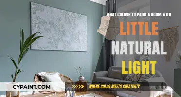 Brightening Up: Ideal Colors for Rooms with Limited Natural Light
