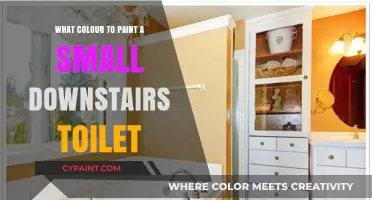 Transform Your Small Downstairs Toilet: Best Paint Colors for a Spacious Feel