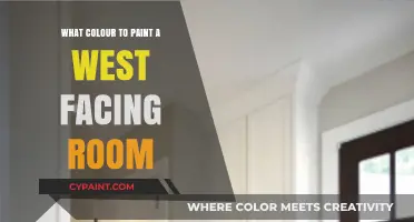 Warm West-Facing Room Colors: Best Paint Ideas for Evening Glow