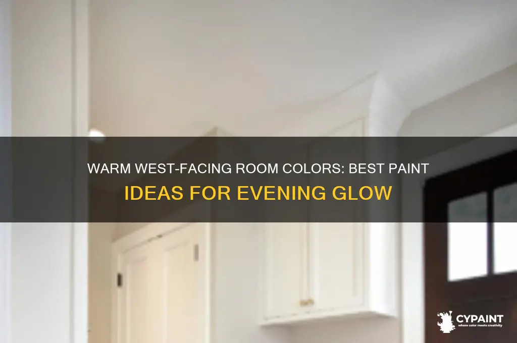 what colour to paint a west facing room