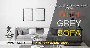 Grey Sofa, What Colour Walls? Paint Ideas for Living Rooms