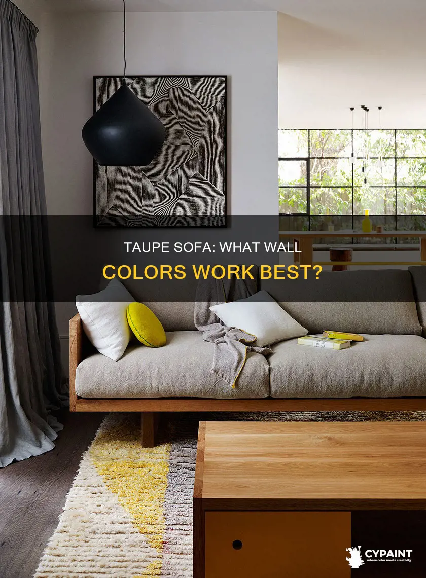 what colour to paint living room with taupe sofa
