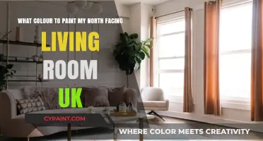 Brighten Your North-Facing Living Room: UK Colour Inspiration