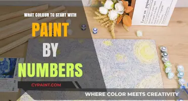 Choosing the Perfect Starting Color for Your Paint by Numbers Kit