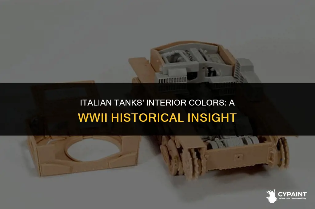 what colour were the interior of italian tanks painted ww2
