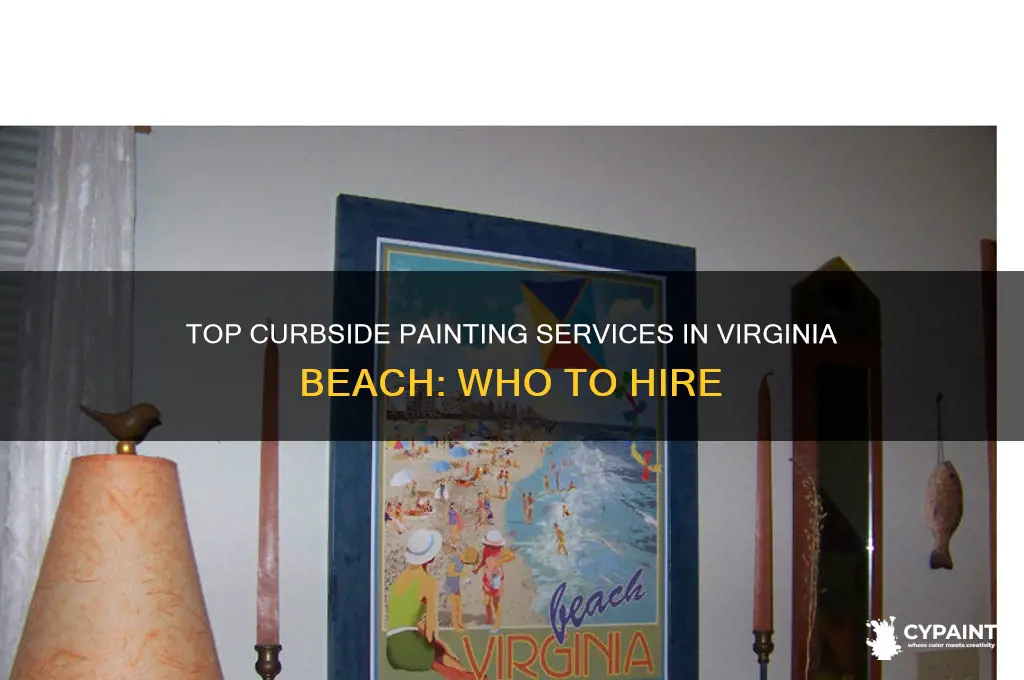 what company does curbside painting in virginia beach