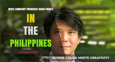 Discovering the Philippine Manufacturer Behind Davis Paints Brand