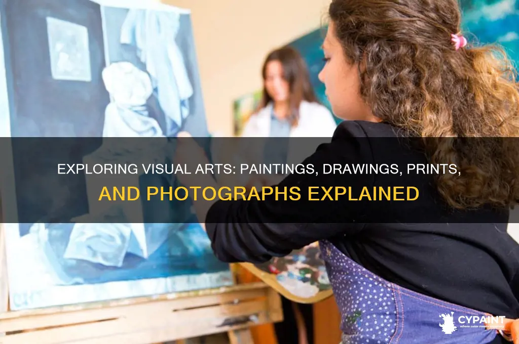 what consists of paintings drawings prints and photographs