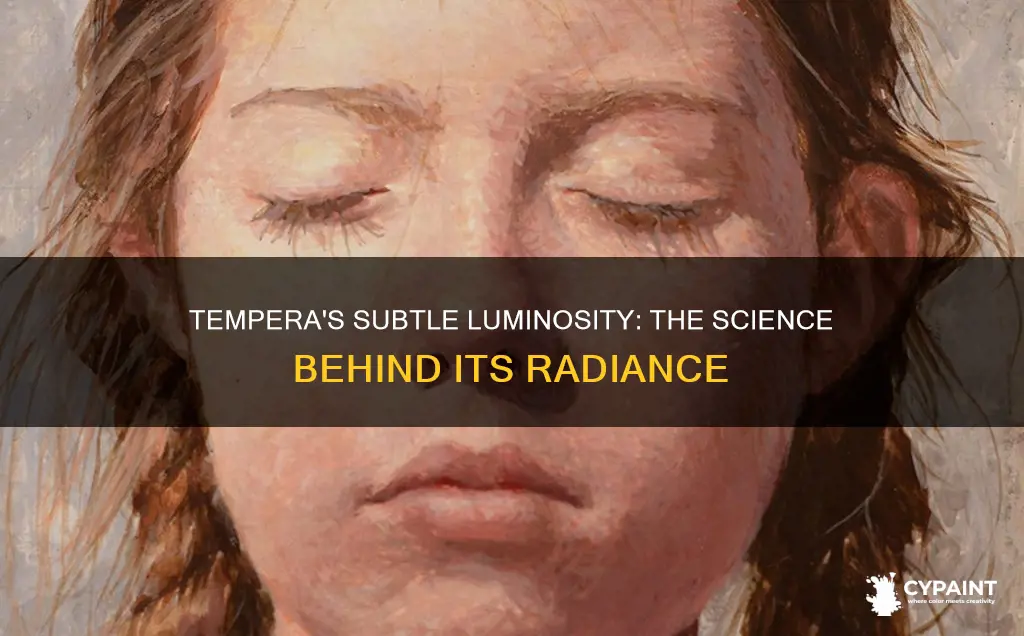 what contributes to the subtle luminosity of tempera paintings