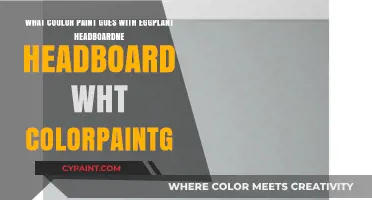 Eggplant Elegance: The Perfect Paint Colors to Complement Your Headboard