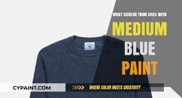 Perfect Trim Colors to Complement Medium Blue Paint in Your Home