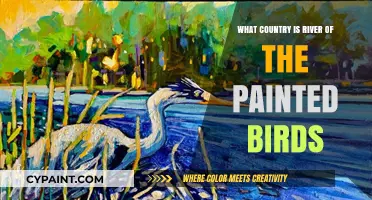 Discovering the Country Home to the River of the Painted Birds