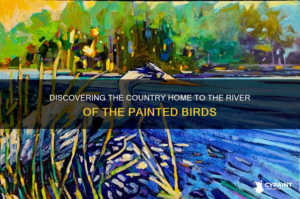 what country is river of the painted birds