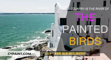 The River of Painted Birds: A Country's Natural Wonder