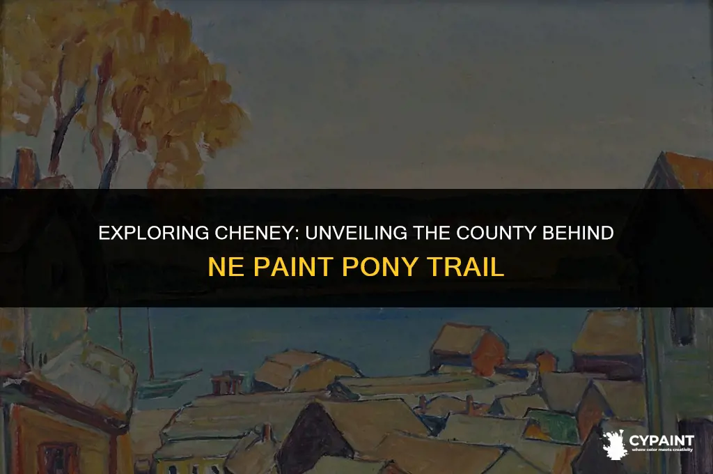 what county is 15712 ne paint pony trail cheney in