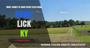 Discovering the Hidden Gem: Peggy Flats Road in Paint Lick, KY
