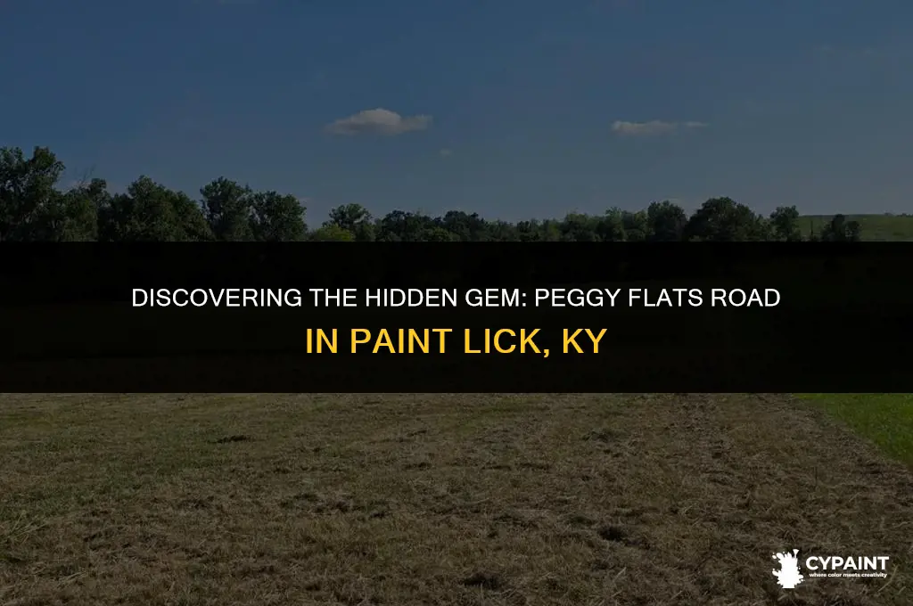 what county is 1609 peggy flats road paint lick ky
