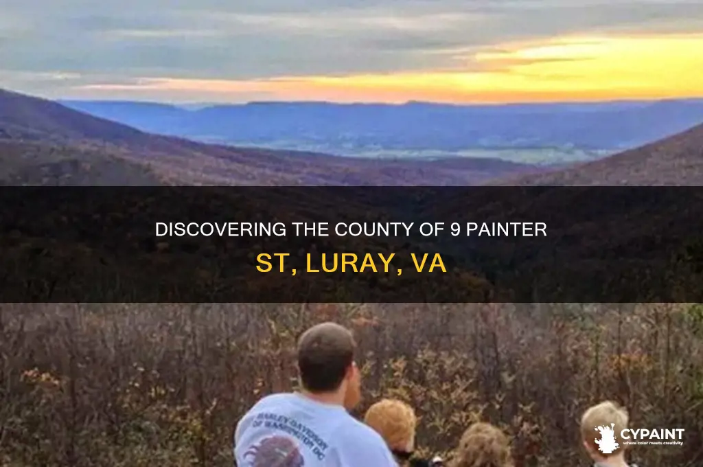 what county is 9 painter st luray va