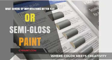 Flat vs. Semi-Gloss Paint: Which Conceals Imperfections Better?