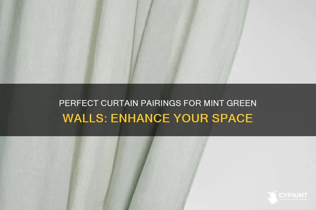 what curtains look better with mint green paint