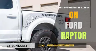 Custom Paint Options for Ford Raptor: What’s Allowed and How