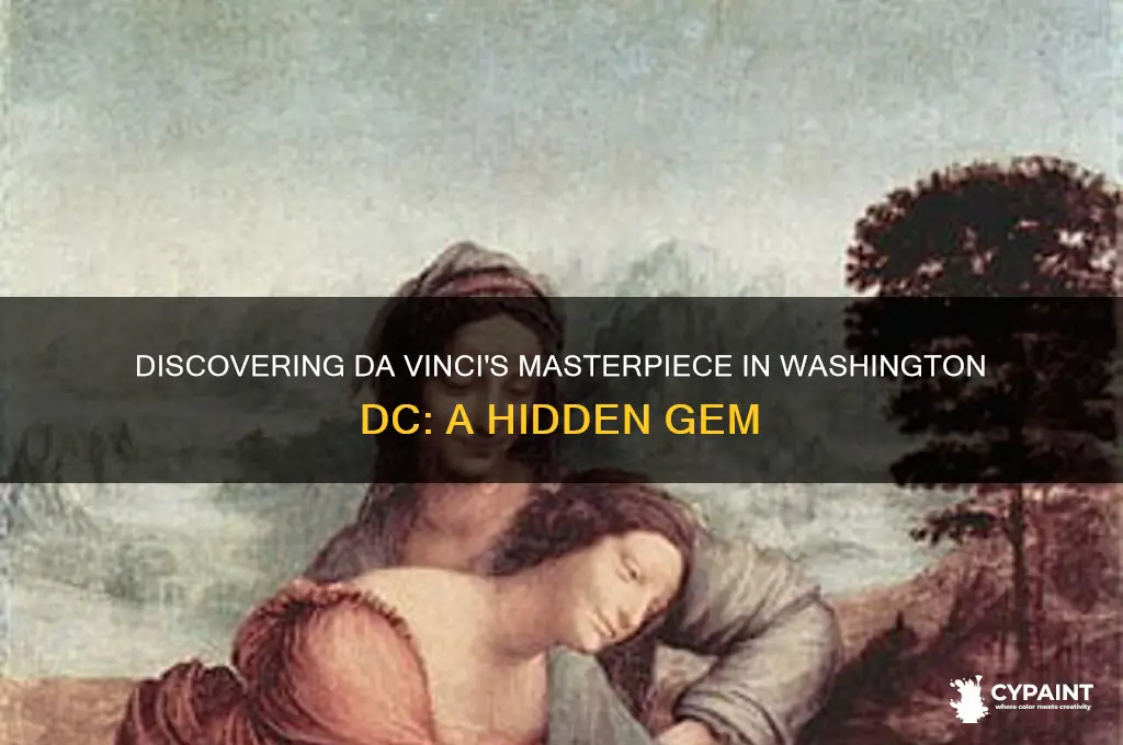 what da vinci painting is in washington dc