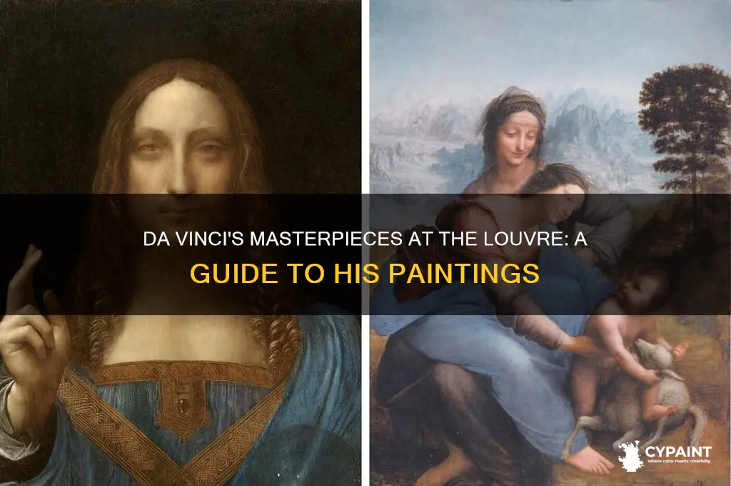 what da vinci paintings are in the louvre