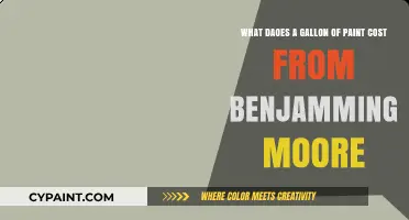 Exploring the Cost of a Gallon of Benjamin Moore Paint