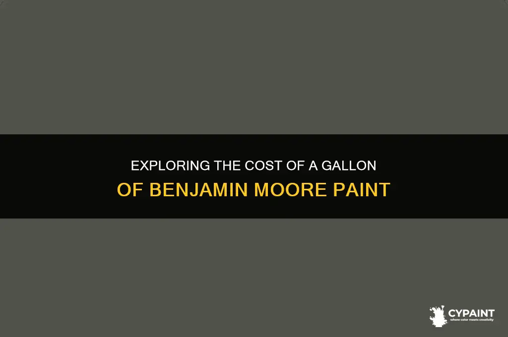 what daoes a gallon of paint cost from benjamming moore