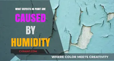 How Humidity Causes Paint Defects: Common Issues and Prevention Tips
