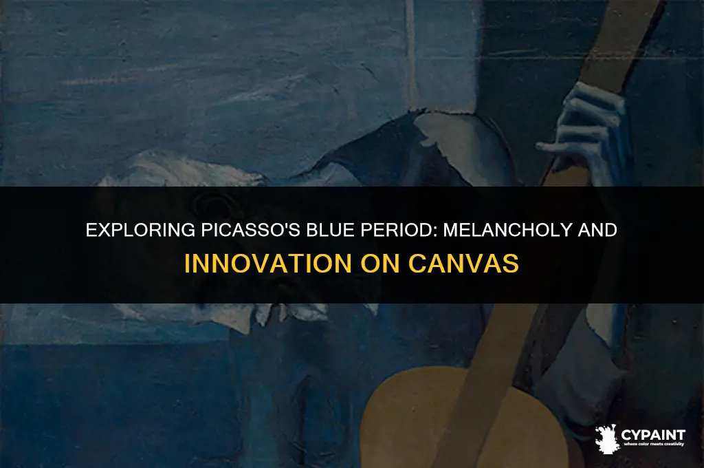 what describes characteristics of paintings from picasso