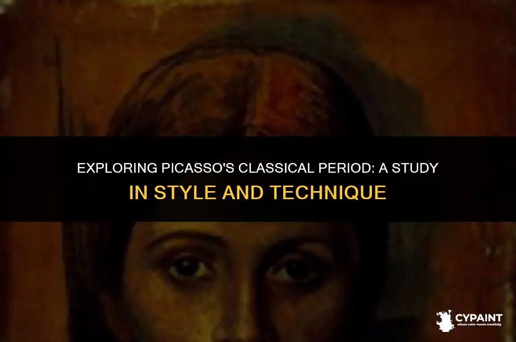 what describes characteristics of paintings from picasso