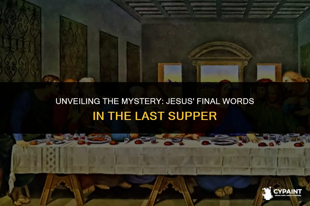 what did jesus just say in the last supper painting